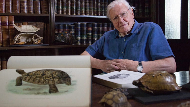 David Attenborough's Natural Curiosities — s04e05 — Incredible Shells