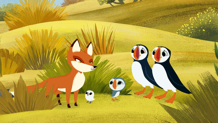 Puffin Rock — s02e32 — New Neighbours