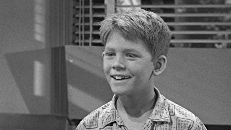 The Andy Griffith Show — s05e09 — Opie's Fortune