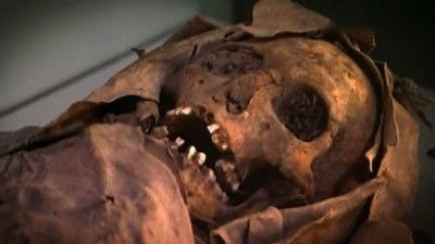 Разгадка тайн истории с Олли Стидсом — s01e06 — Hitler's Mummies