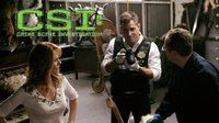 CSI: Crime Scene Investigation — s08e05 — The Chick Chop Flick Shop