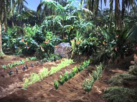 Gilligan's Island — s03e03 — Pass the Vegetables, Please