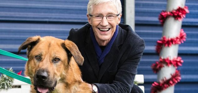 Paul O'Grady: For the Love of Dogs — s06 special-1 — For the Love of Dogs at Christmas