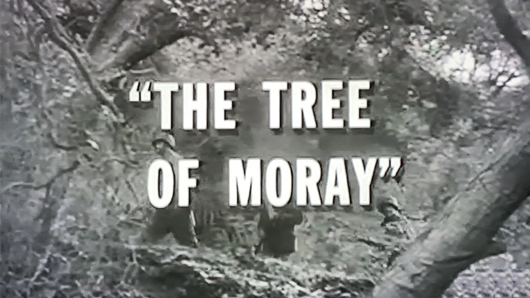 В бою — s03e26 — The Tree of Moray