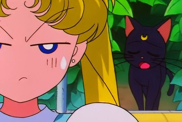 Bishoujo Senshi Sailor Moon — s05e15 — Seiya and Usagi's Nervous Date