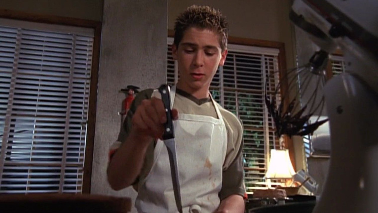 Malcolm in the Middle — s02e18 — Reese Cooks