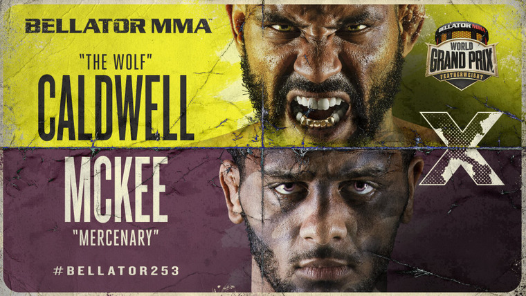 Bellator MMA Live — s17e28 — Bellator 253: Caldwell vs. McKee