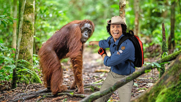 Andy's Wild Adventures — s02e01 — Orangutans