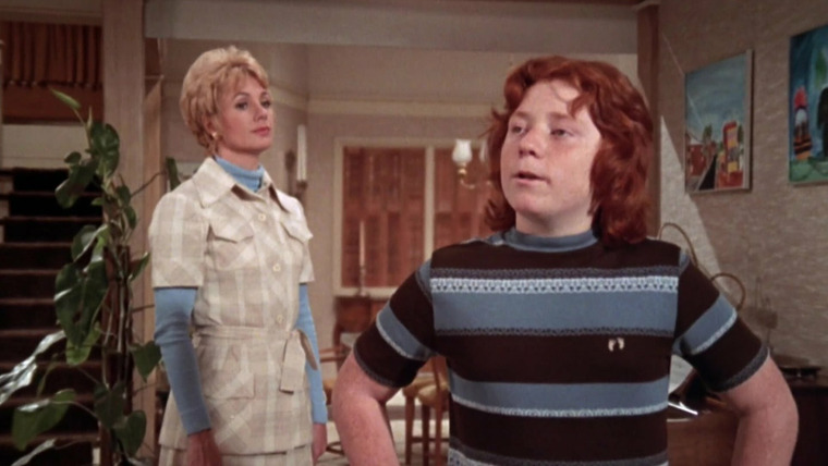 The Partridge Family — s04e15 — Danny Drops Out