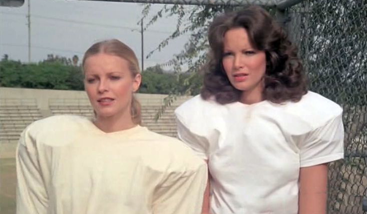 Charlie's Angels — s02e19 — Angels in the Backfield