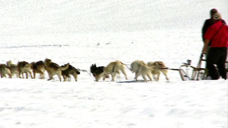 Living Alaska — s01e11 — The Berington Twins Leave Wisconsin to Pursue Their Dog Mushing Dreams
