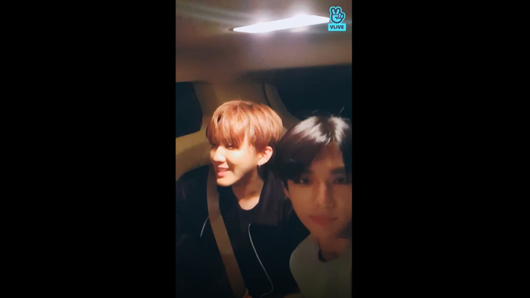 Stray Kids — s2019e303 — [Live] It was nice to see you after such a long time, STAY! ♥ (VerticalCam.)