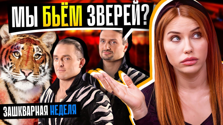 Катя Конасова — s08e116 — ЖЕСТОКИЕ МЕТОДЫ ЗАПАШНЫХ! | Что происходит в цирке?