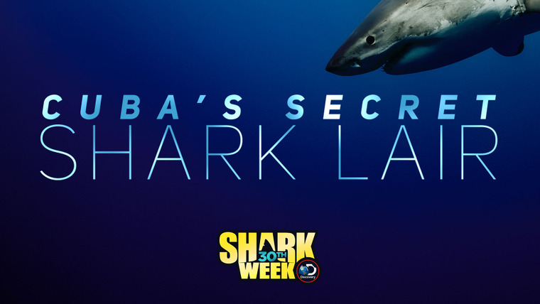 Shark Week — s2018e07 — Cuba's Secret Shark Lair