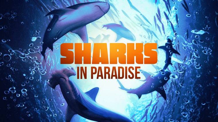 Shark Week — s2022e20 — Sharks in Paradise