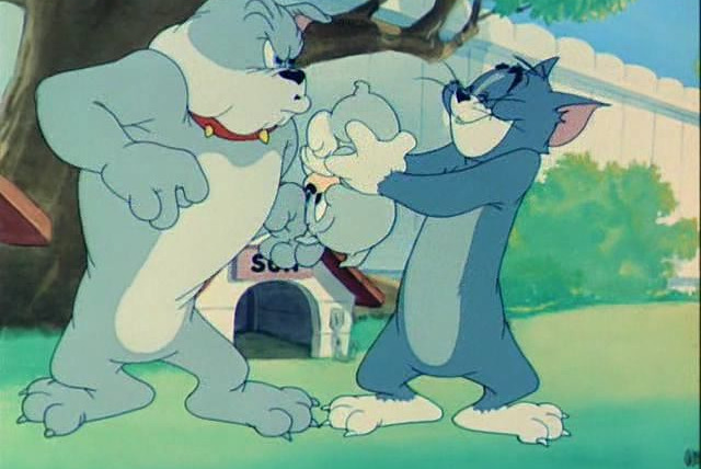 Tom & Jerry (Hanna-Barbera era) — s01e44 — Love That Pup
