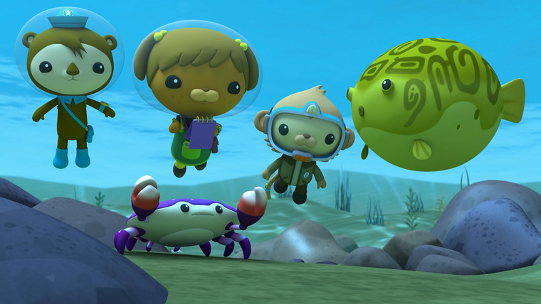 Octonauts: Above & Beyond — s03e20 — Missing Shell