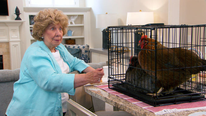 Спросите Крисли — s07e18 — Chickening Out
