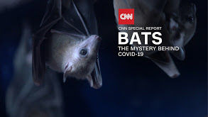 CNN Special Report — s2020e12 — Bats: The Mystery Behind COVID-19
