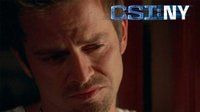 CSI: Место преступления Нью-Йорк — s04e19 — Personal Foul