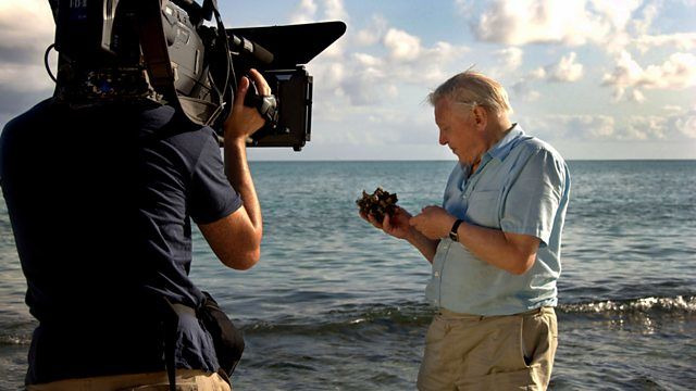 BBC: Истоки жизни — s01 special-1 — Attenborough's Journey