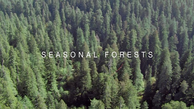 BBC: Планета Земля — s01e10 — Seasonal Forests
