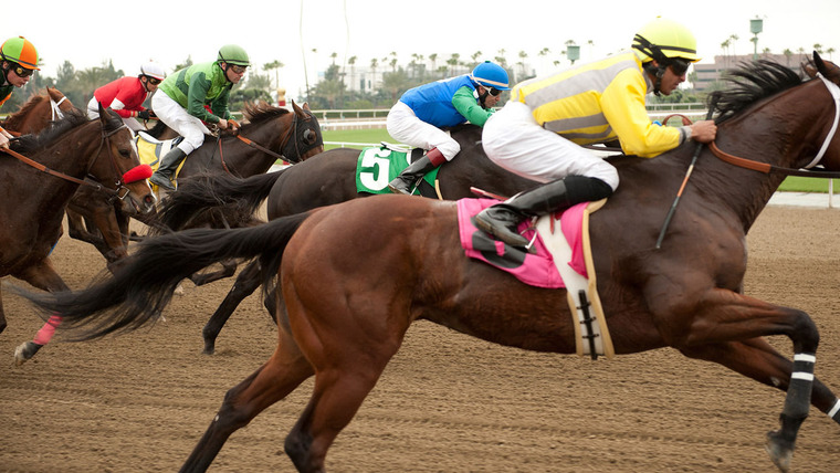 Фарт — s01e09 — Two Prized Colts Go Head-to-Head