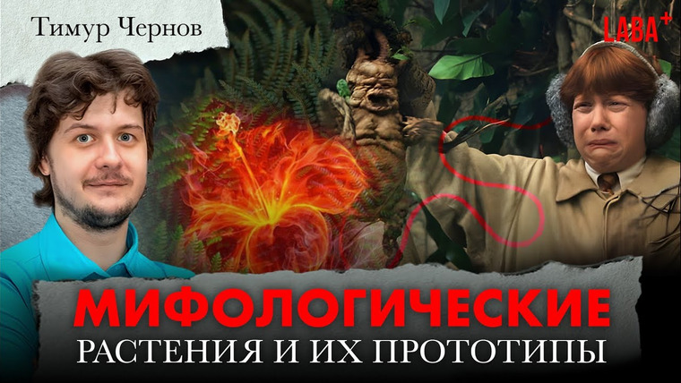 ЛАБА+ — s03e47 — Мифологические растения и их прототипы. Тимур Чернов