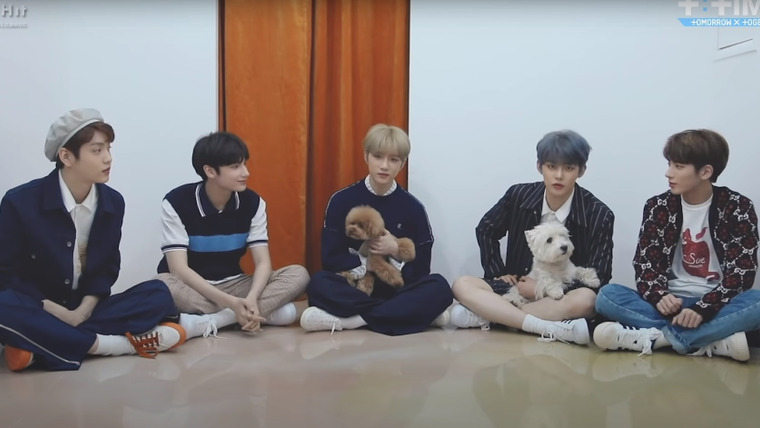 T: TIME — s2019e33 — 'Cat & Dog' interview with puppies