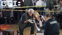 CSI: Crime Scene Investigation — s12e19 — Split Decisions