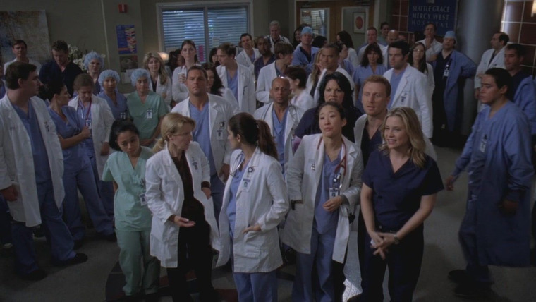 Grey's Anatomy — s06e13 — State of Love and Trust