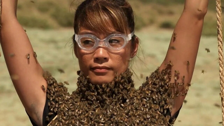 Fear Factor — s07e06 — The Bees Are So Angry