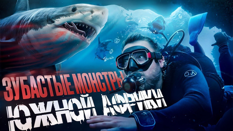 МИР БЕЗ ГРАНИЦ с Сергеем Завидовым — s04e14 — Дайвинг с акулами в ЮАР: уникальное погружение в подводный мир Aliwal Shoal