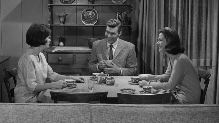 The Andy Griffith Show — s05e24 — Guest in the House