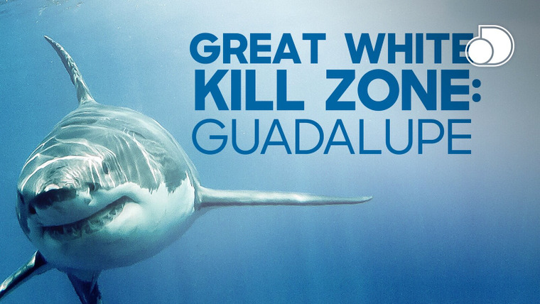 Shark Week — s2019e16 — Great White Kill Zone: Guadalupe