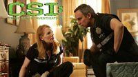CSI: Crime Scene Investigation — s08e15 — The Theory of Everything