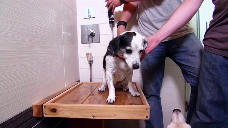 Bath Crashers — s08e13 — Dog's Best Bathroom