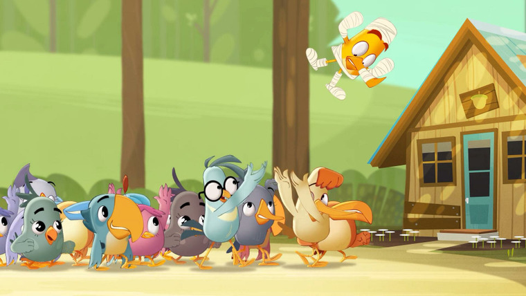 Angry Birds: летнее безумие — s01e02 — Hospital Sweet