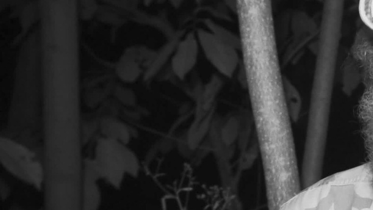 Горные монстры — s04e10 — Bigfoot of Wood County: The Phantom of the Forest