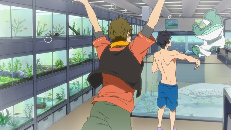 Free! — s01 special-1 — Makoto's Trouble! / Staff Recruitment!