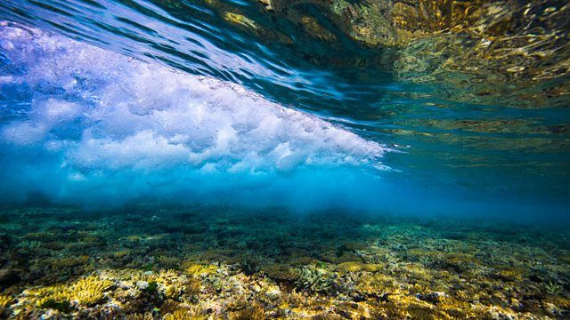 Большой барьерный риф с Дэвидом Аттенборо — s01e01 — Episode 1