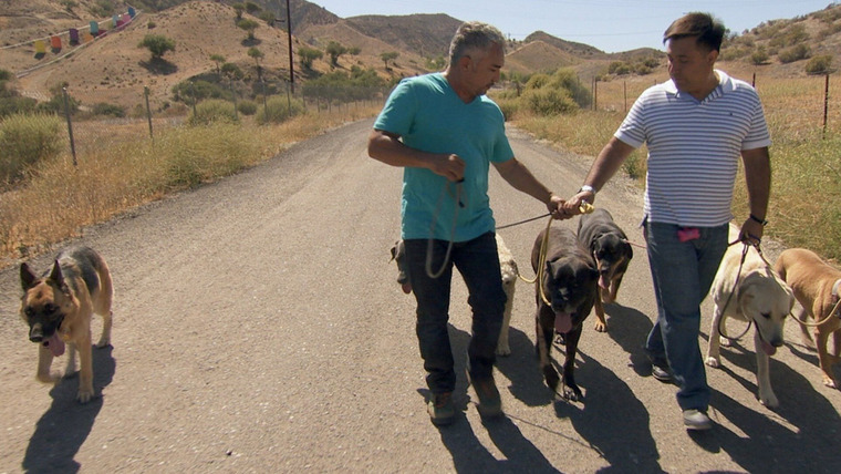 Cesar 911 — s02e02 — Kicked to the Curb