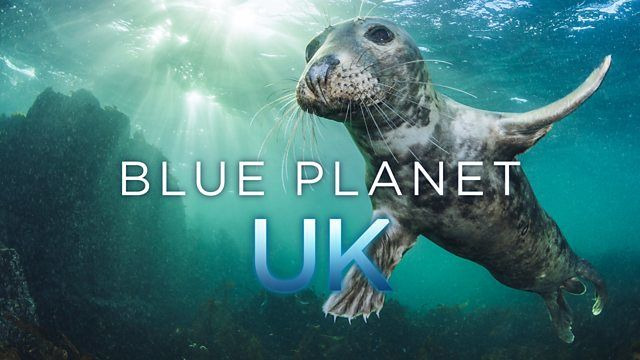 Blue Planet UK — s01e01 — Episode 1