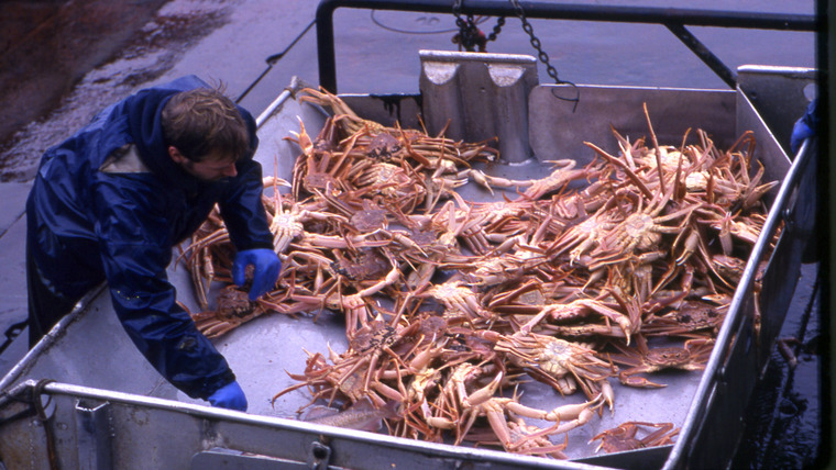 Deadliest Catch — s01e08 — Good Fishing