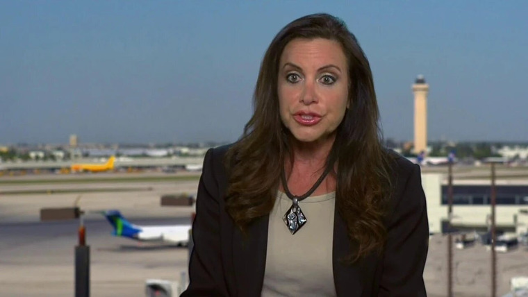 Airport 24/7: Miami — s03e03 — Dogs, Guns and Gold