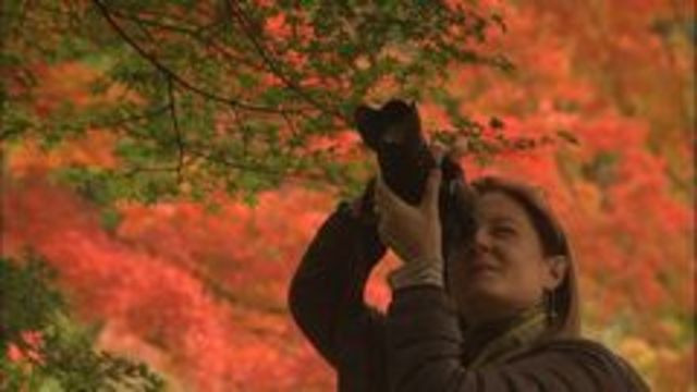 Journeys in Japan — s2012e44 — Haiku Poetry, Autumn Foliage: Otsu & Ogaki