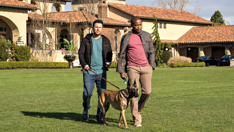 Psych — s08 special-3 — Psych 2: Lassie Come Home