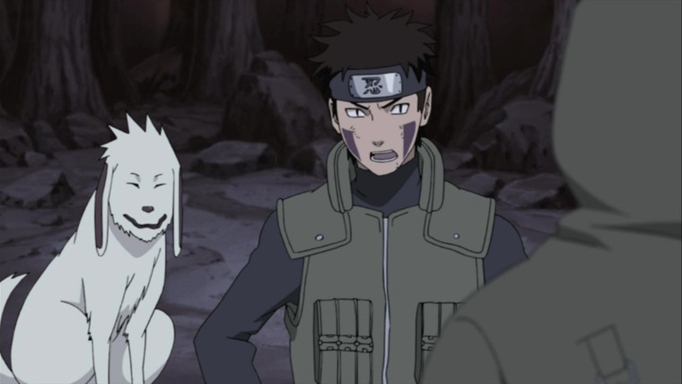Naruto: Shippuuden — s13e19 — White Zetsu's Trap