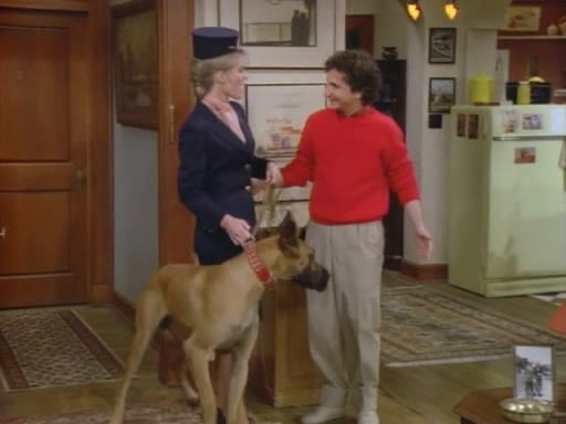 Perfect Strangers — s01e02 — Picture This