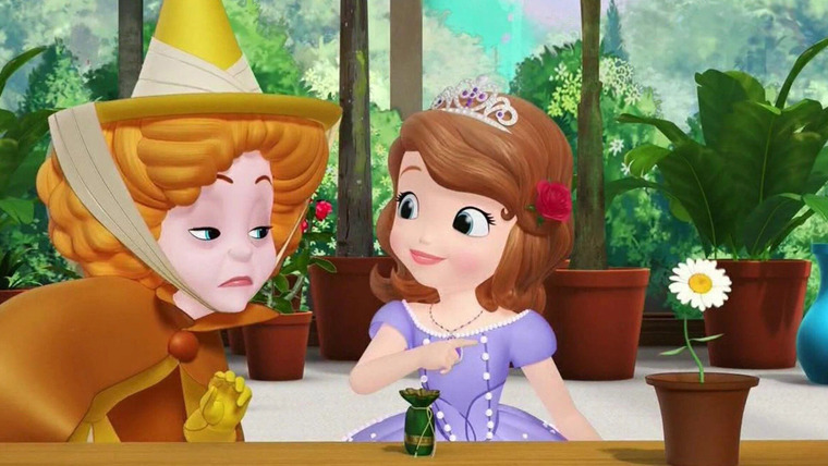 Sofia the First — s03e19 — Best in Air Show